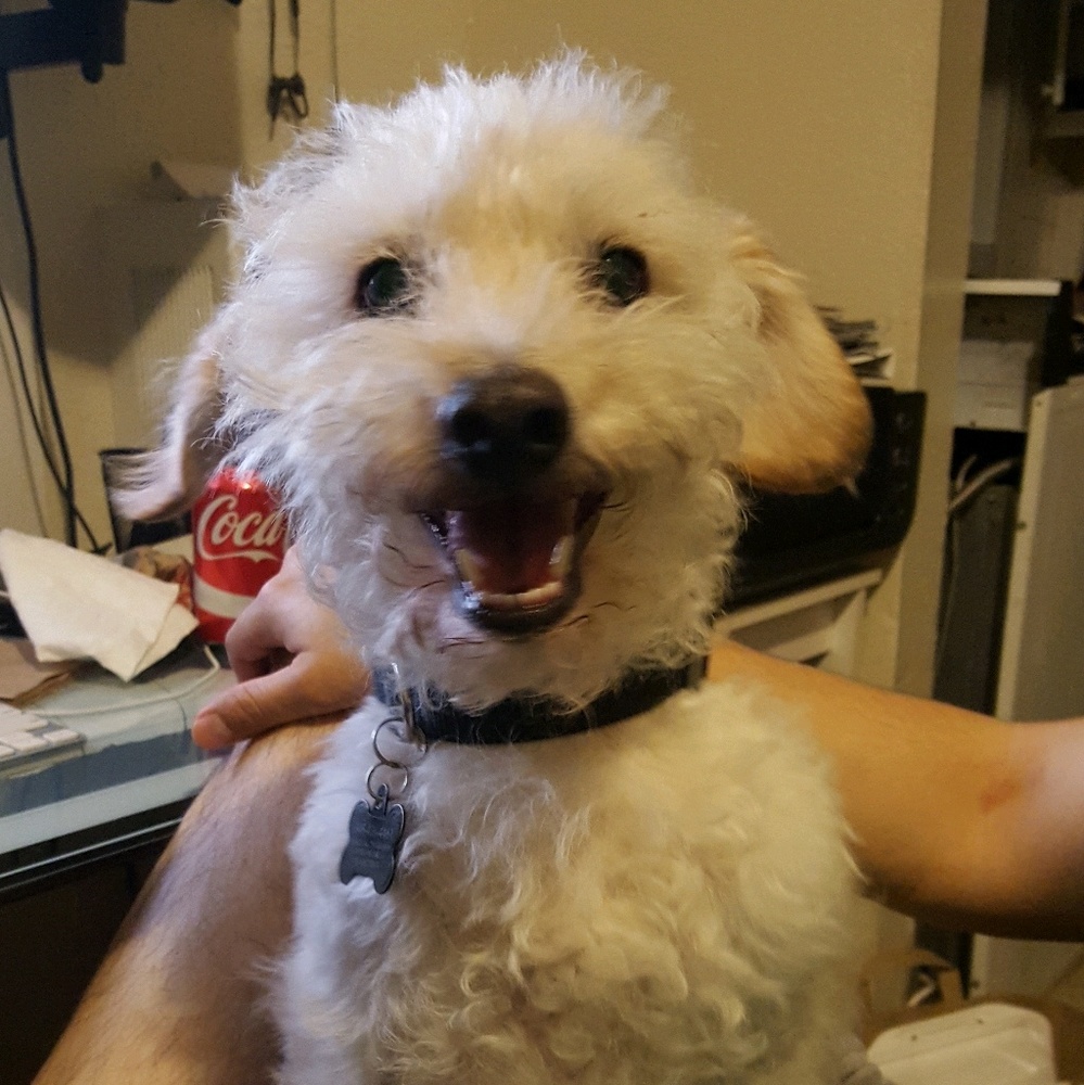 Meet your Posher, Kendra